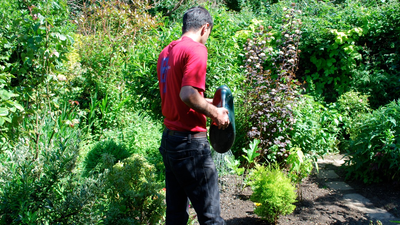 watering-garden